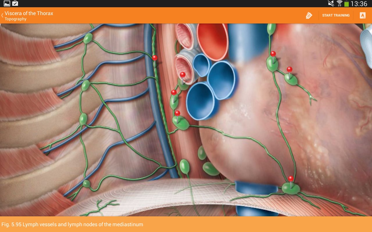 Sobotta Anatomy Atlas LI...截图8