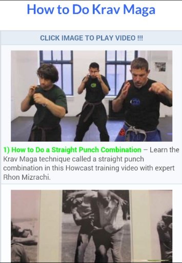 Krav Maga Training截图1