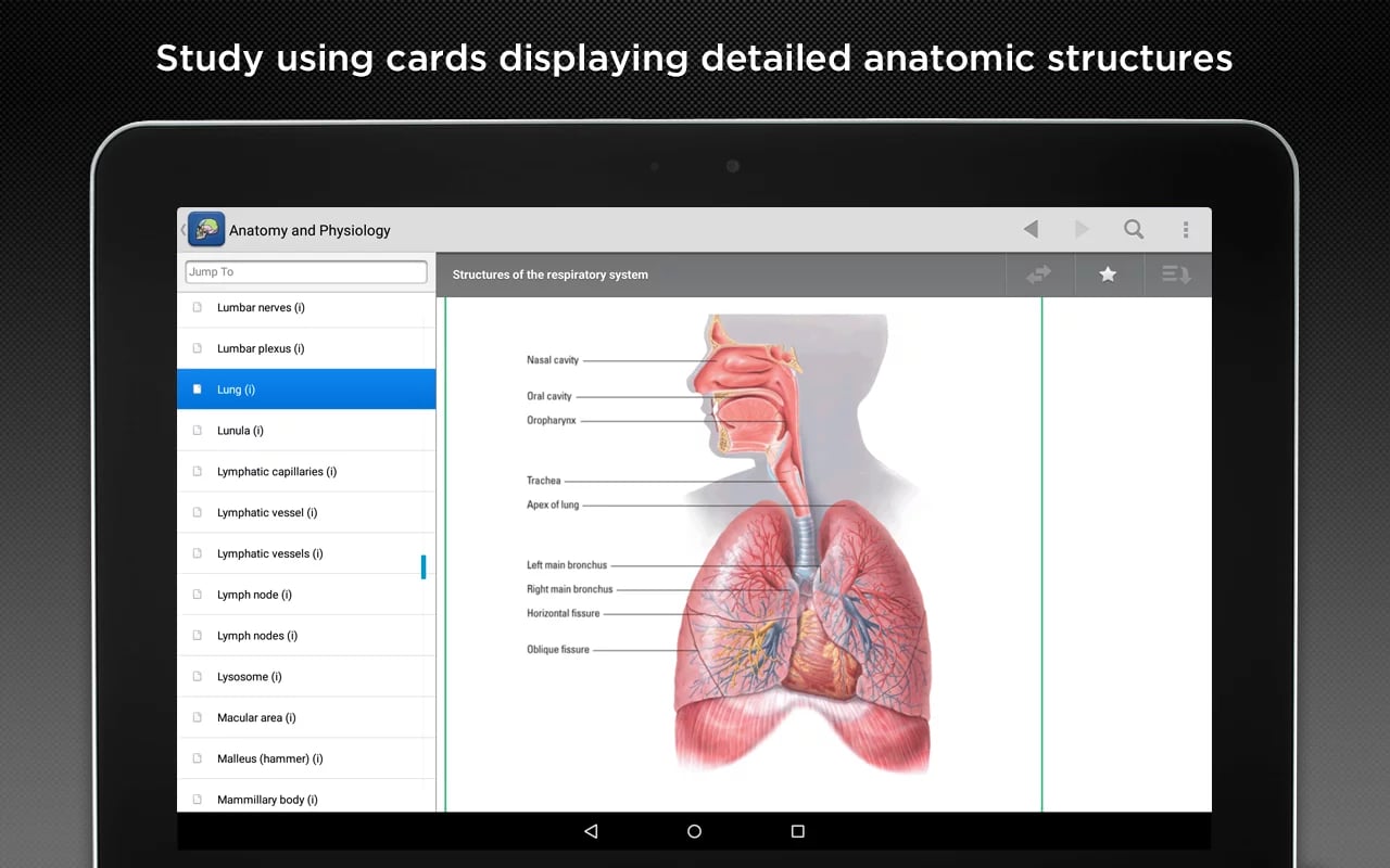 Anatomy &amp; Physiology Mad...截图3