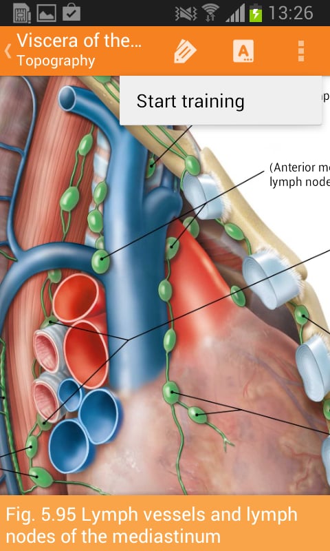 Sobotta Anatomy Atlas LI...截图4