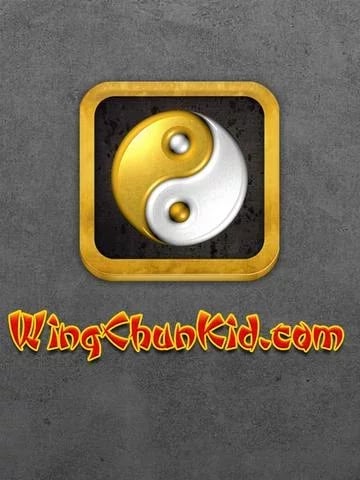 Kung Fu Wu Shu截图11