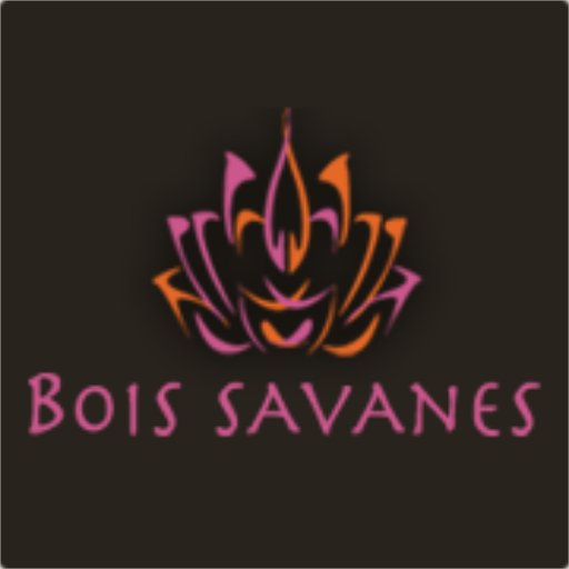 Bois Savanes截图1