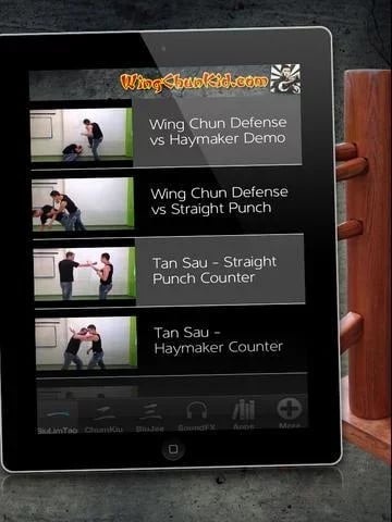 Kung Fu Wu Shu截图10