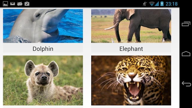 Exotic Animal Sounds截图1