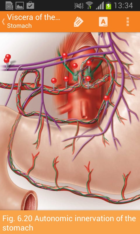 Sobotta Anatomy Atlas LI...截图10