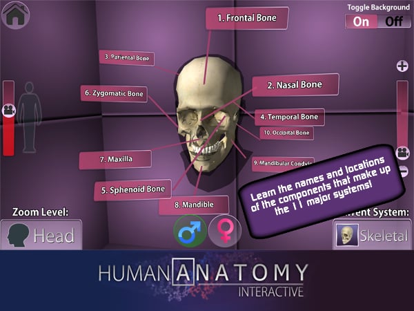 PlayAR Human Anatomy Cha...截图3