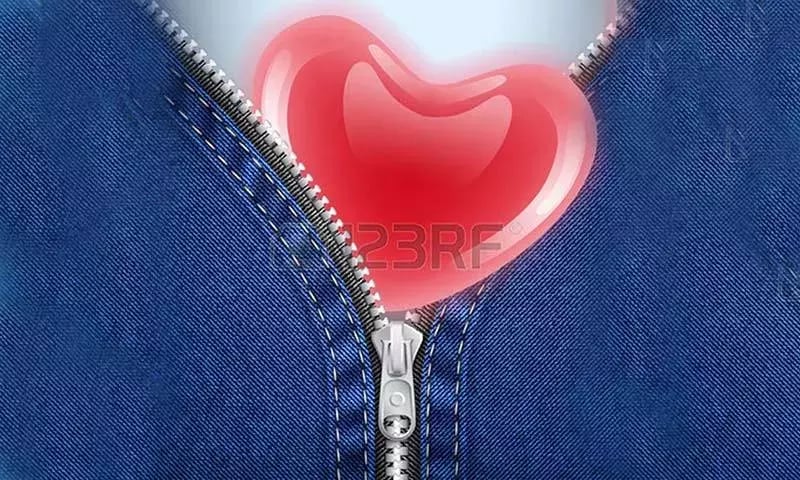 Official Screen Heart Zi...截图1