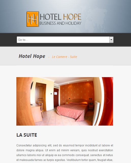 HOTEL HOPE截图2