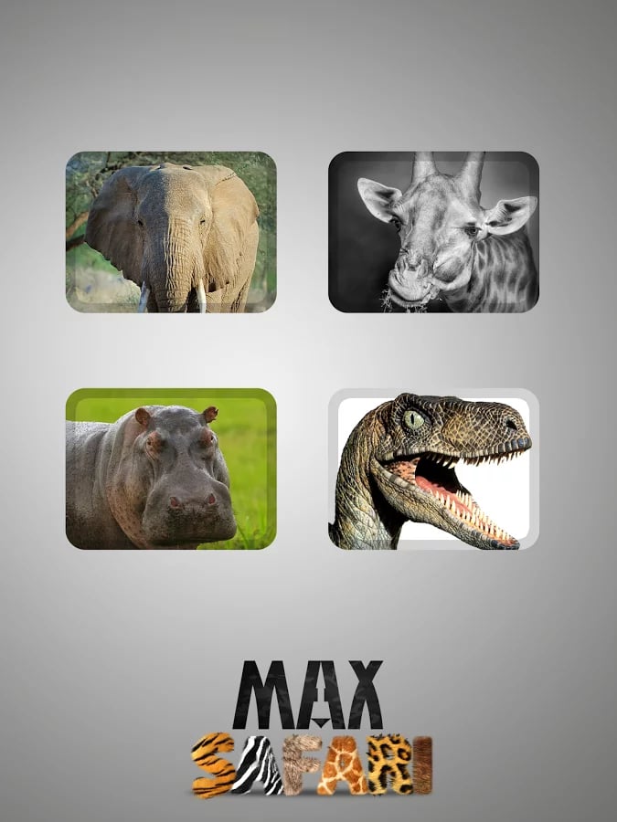 Max Safari截图1