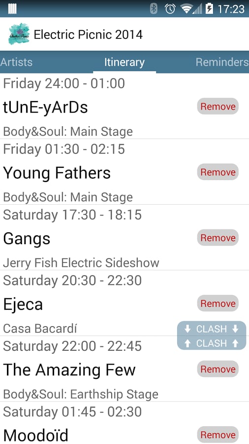 Electric Picnic 2014截图1