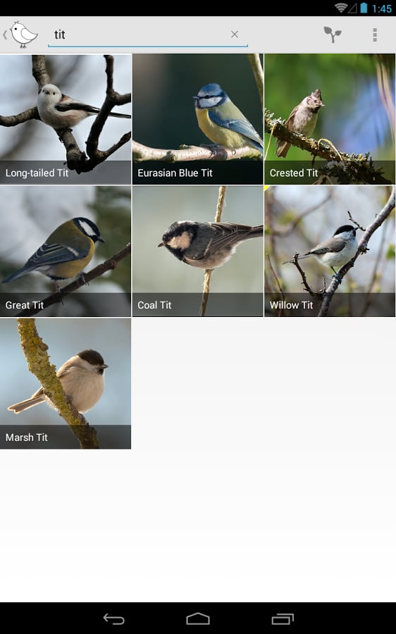 Bird Watcher截图3