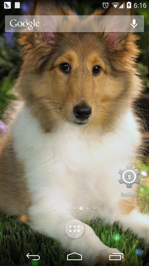 Dream dog lwp截图2