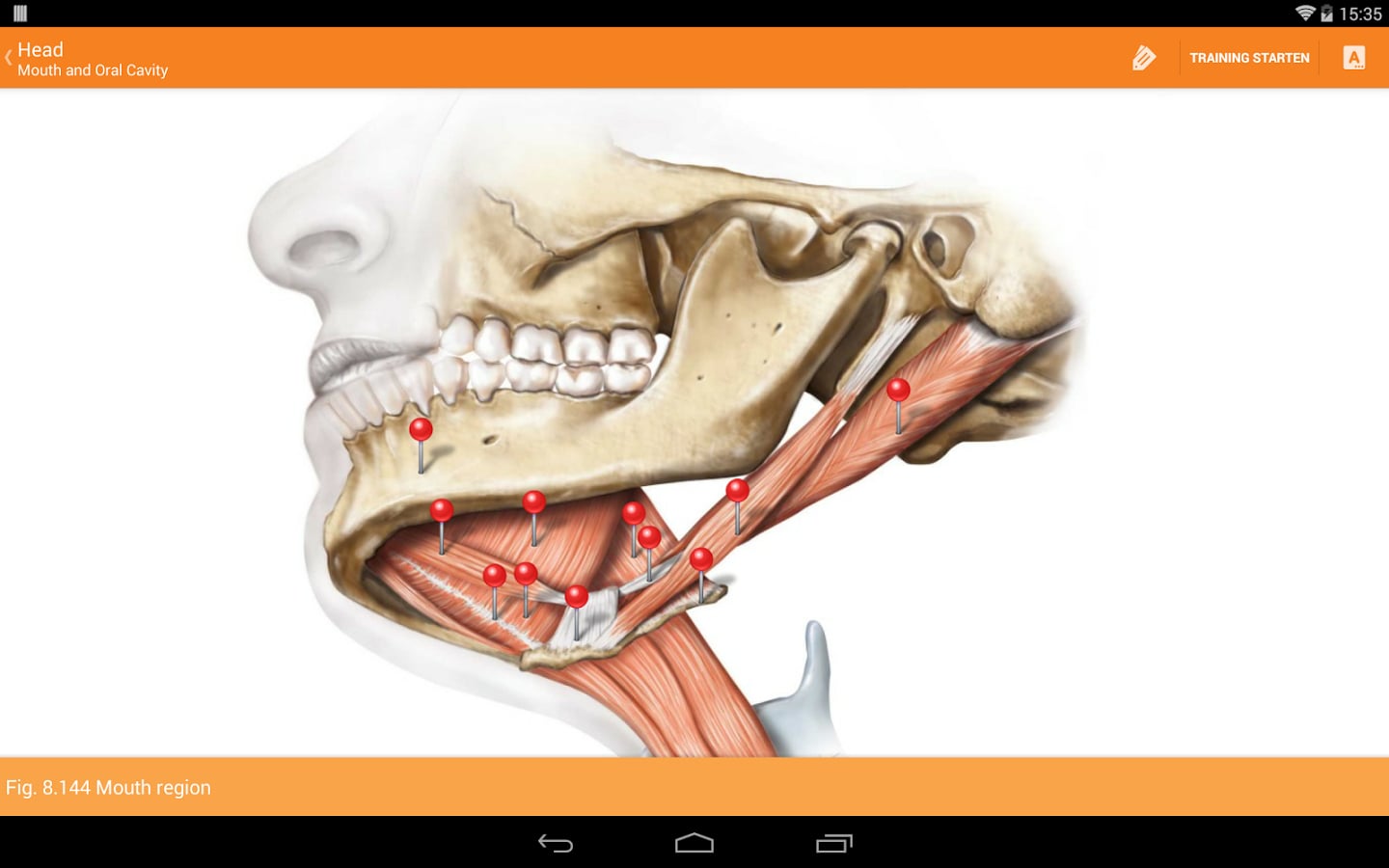 Sobotta Anatomy Atlas LI...截图1