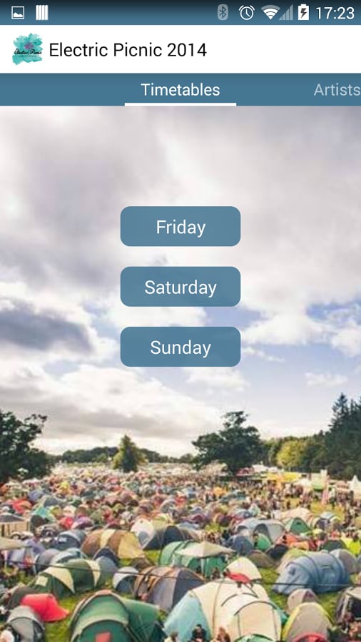 Electric Picnic 2014截图4