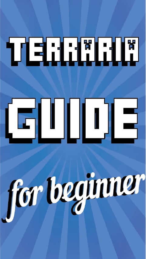 Beginner's Guide for Ter...截图2