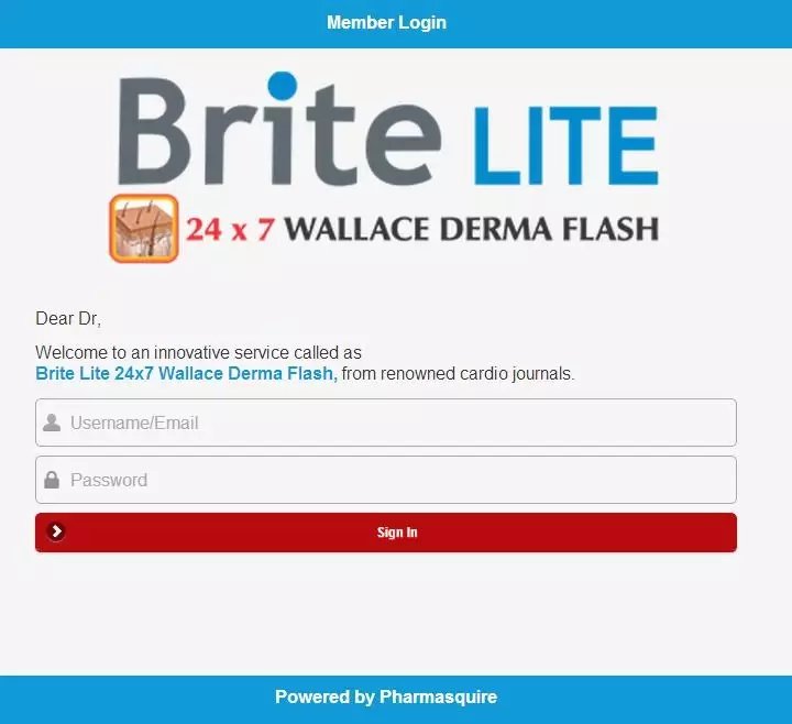 Brite Lite截图3