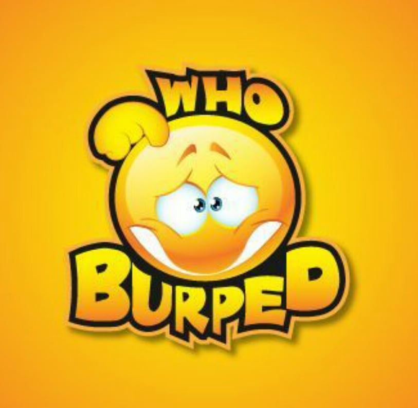 Who Burped截图2