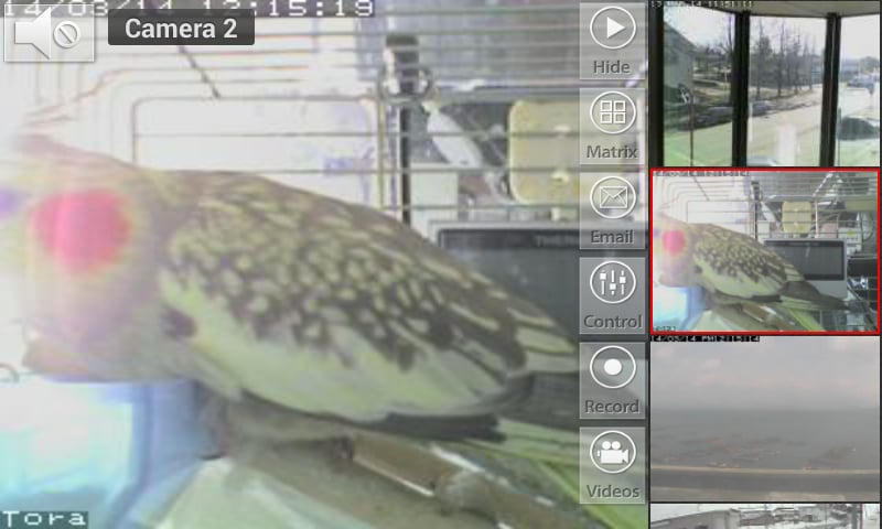 Viewer for Mobotix camer...截图3