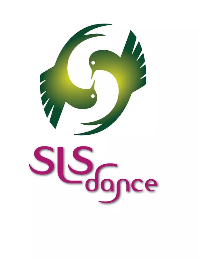 SLS Dance截图2