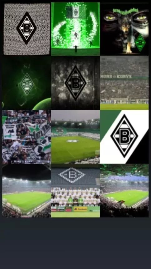 Borussia Monchengladbach...截图4