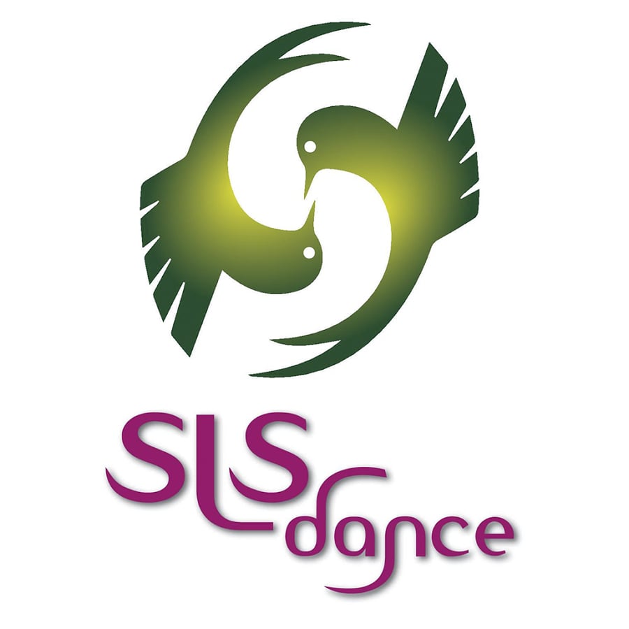 SLS Dance截图3