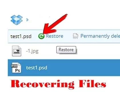 Recover Files On a Dropb...截图1