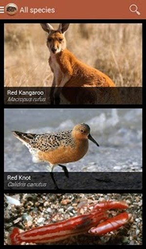 Field Guide South Australia截图8