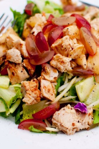 Chicken Salad Recipes截图6