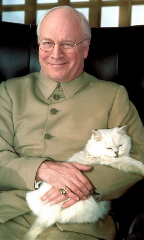 Dick Cheney cat Live WP截图3