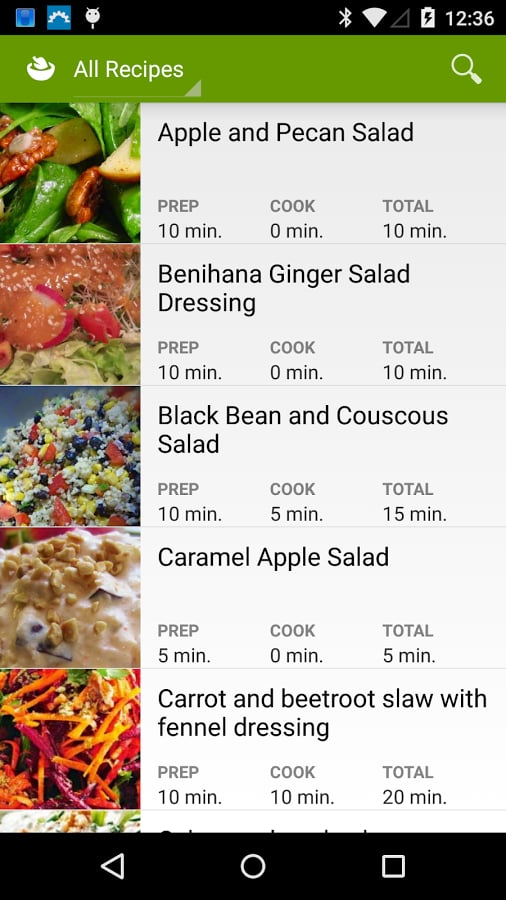 Simple Salads 2015截图1