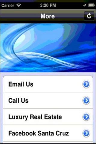 DL Real Estate截图2