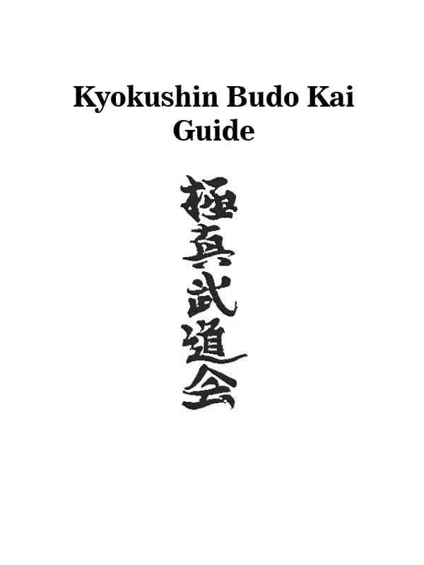 Kyokushin Budo Kai Guide截图1