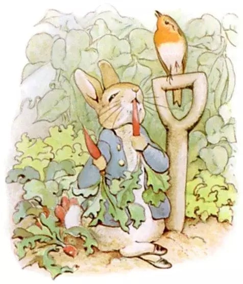 The tale of Peter Rabbit...截图4