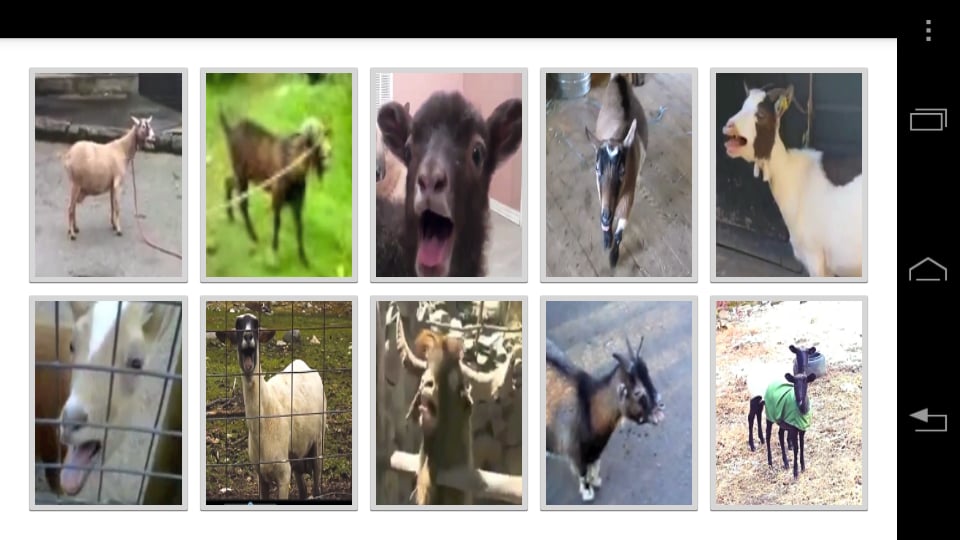 Goat Project Naga截图4