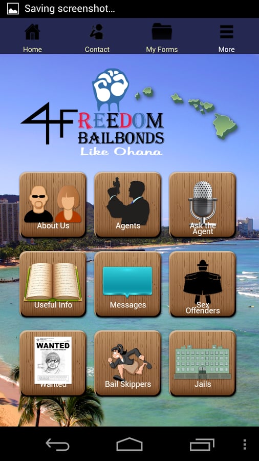 Hawaii Bail截图3