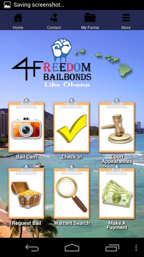 Hawaii Bail截图1