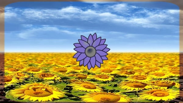 Sunflower Torch截图1