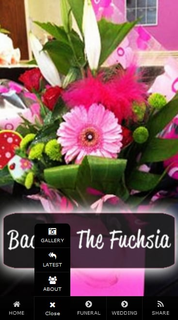 Back to the Fuchsia Flor...截图1