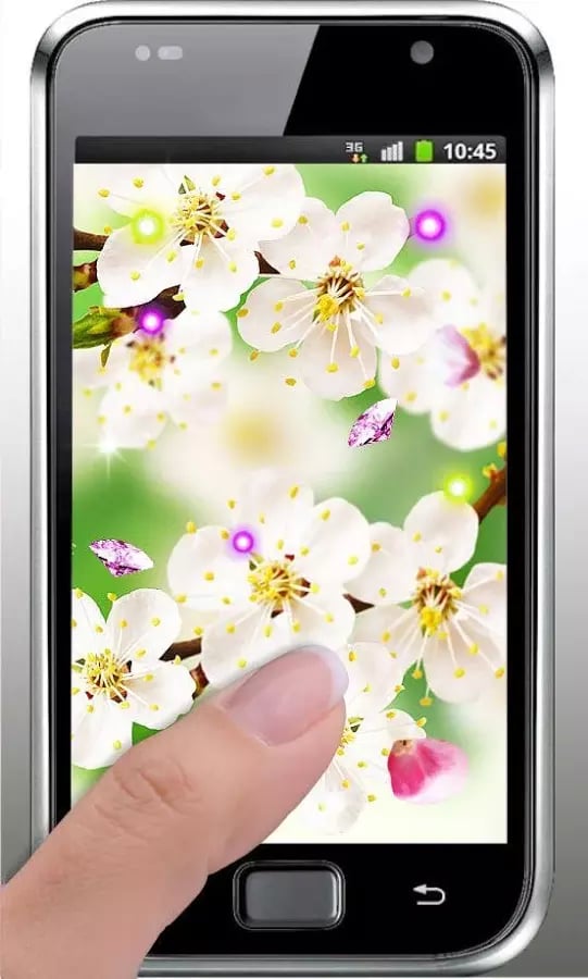 Apple Blossom Nice HD LW...截图2