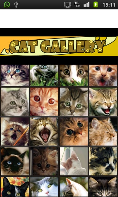 Cat Gallery截图4