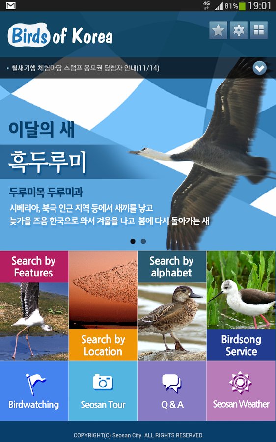 birds of korea截图11