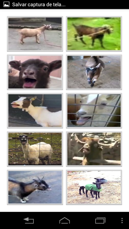 Goat Project Naga截图3