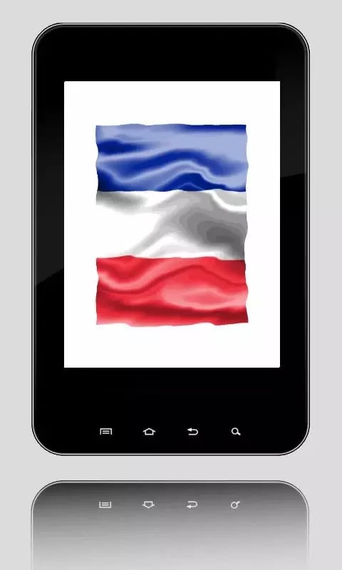 Flag France截图3