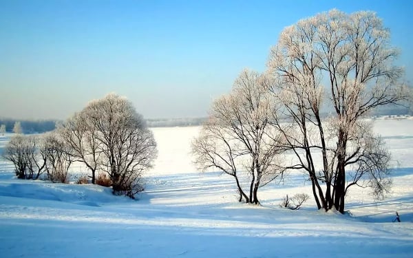 Snow scene HD截图1