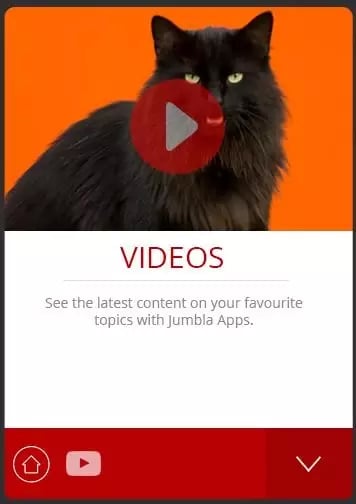 Norwegian Forest Cats Ju...截图4