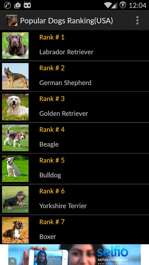 Popular Dogs Ranking(USA...截图4