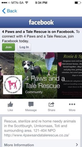 4Paws Tale截图4