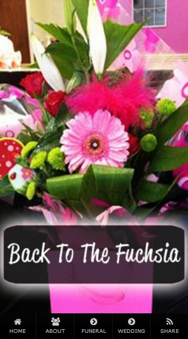 Back to the Fuchsia Flor...截图2