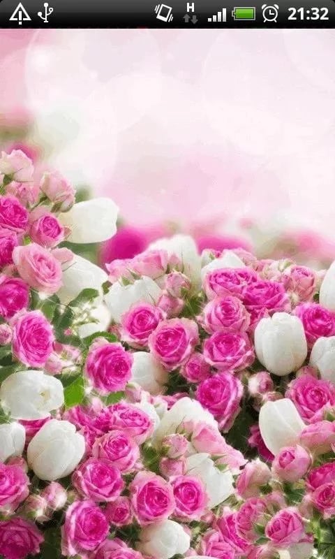 Beautiful Spring Flowers...截图1