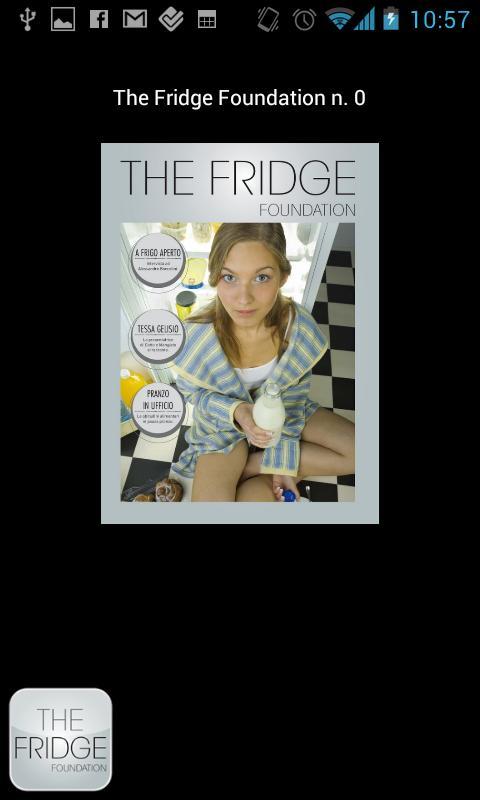 The Fridge截图1